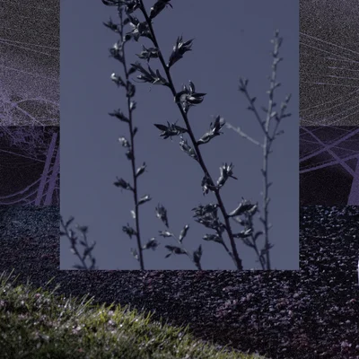 NYC street photography